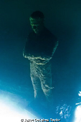 Inverted Solitude 8months on. by Jason Decaires Taylor 